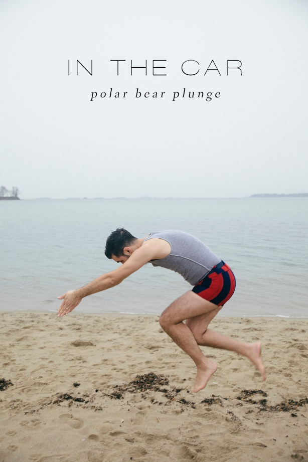 polarbear_2_type